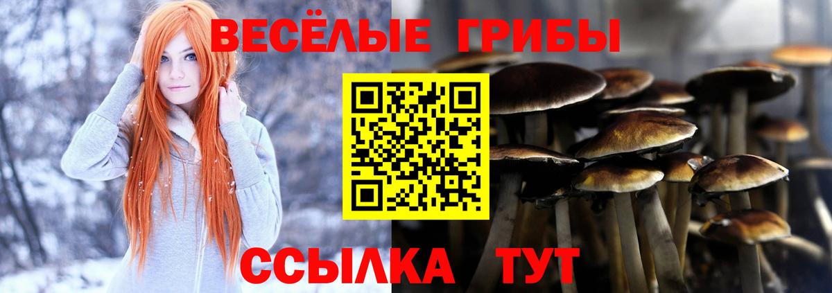 Электрогорск  Псилоцибиновые грибы мицелий  Вход с VPN 